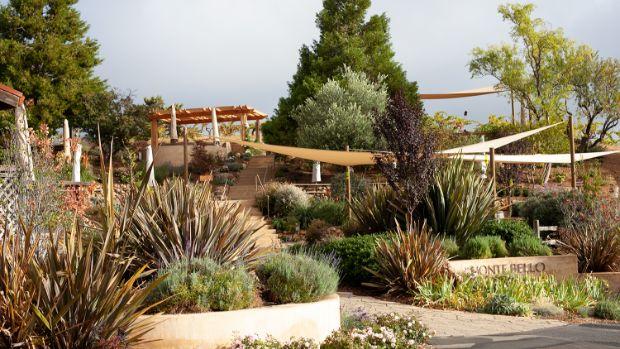 Ridge Vineyards – Monte Bello - Image 1 Ridge Vineyards – Monte Bello - Image 1